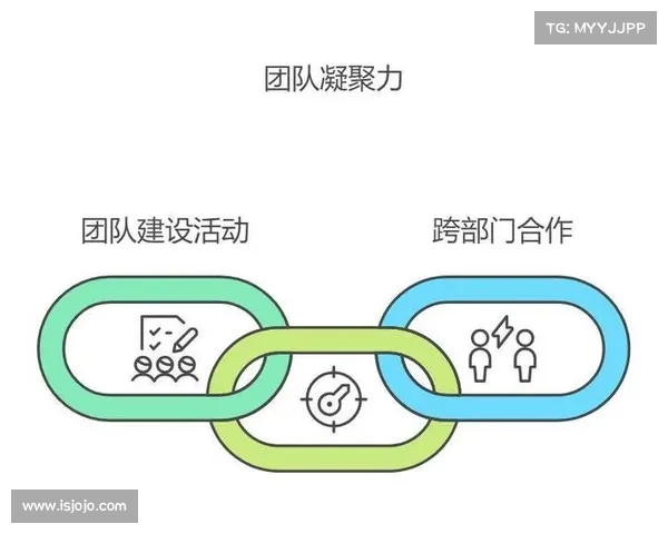队内竞争与协作平衡：如何在激烈竞争中促进团队整体表现与创新活力